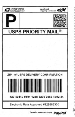paypal receiving hipgirl amyestore